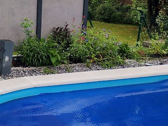 Pool mit Beckenrand und Bepflanzung