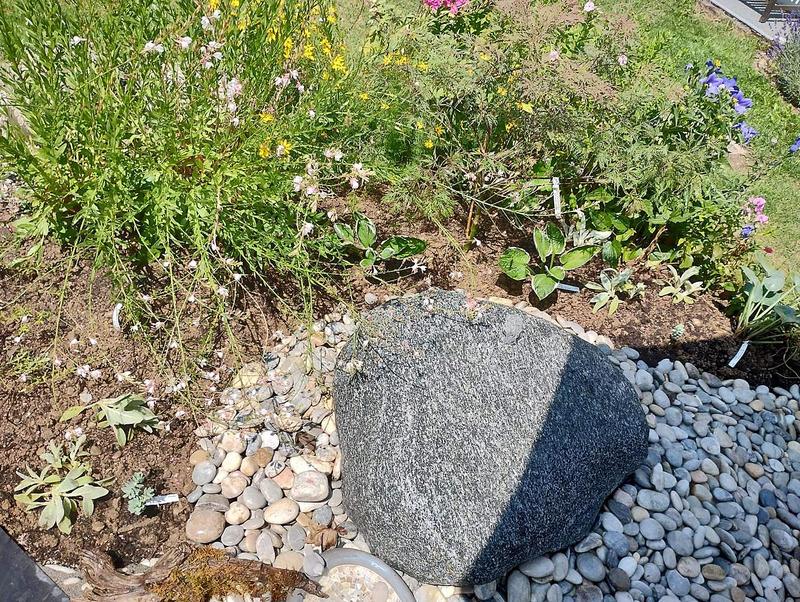 Quellstein im Kiesbett